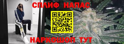кокс Кинель